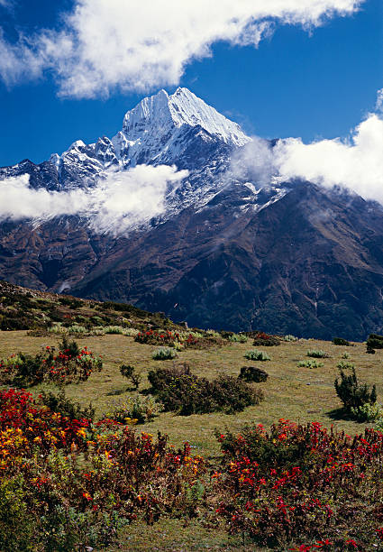 Thamserku in the Himalayas. stock photo