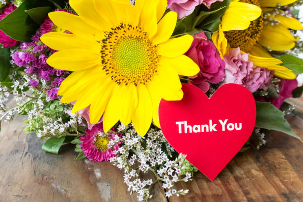 Thank You Heart Stock Photos, Pictures & Royalty-Free Images - iStock