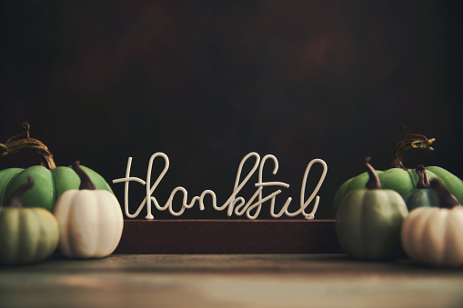 Thanksgiving and Fall Background with a Variety of Green and Teal Pumpkins and THANKFUL sign