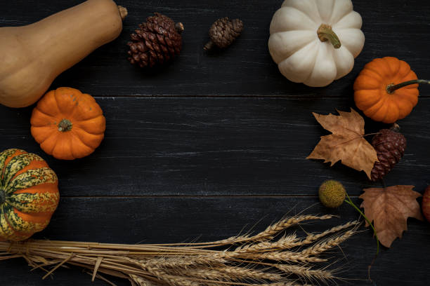 Thanksgiving, Autumn background stock photo