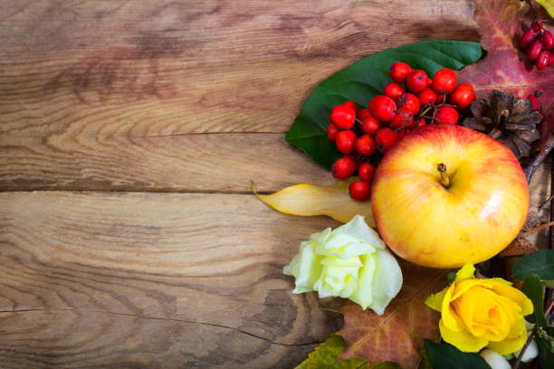 Thanksgiving background with apple, rowan berries, cones and yellow...