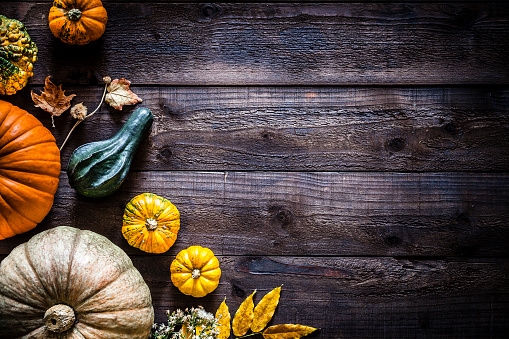 Gourds Pictures | Download Free Images on Unsplash