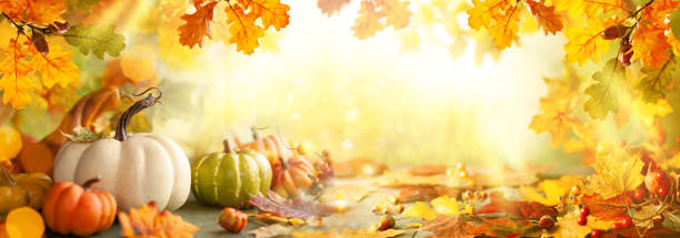 Thanksgiving or autumn scene with pumpkins, autumn leaves and berries on wooden table. stock photo