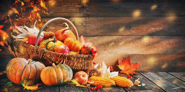 thanksgiving pumpor med frukter och fallande löv - squash sun bildbanksfoton och bilder