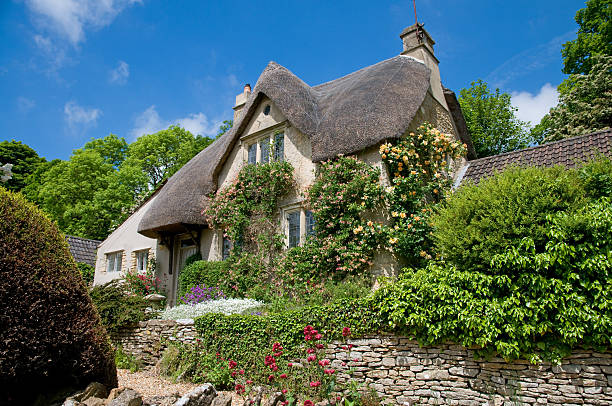 Thatched cottage with beautiful green vegetation stock photo