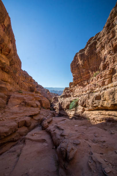 The ancient city of Petra, Jordan stock photo