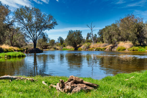 The Avon River is a river in Western Australia. A tributary of the Swan River, the Avon flows 240 kilometres from source to mouth stock photo