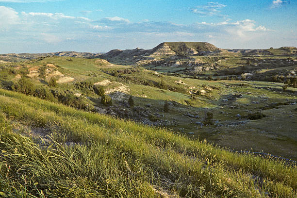 The Badlands at Sunset Theodore Roosevelt National Park lies where the Great Plains meet the rugged Badlands near Medora, North Dakota, USA. The park's 3 units, linked by the Little Missouri River is a habitat for bison, elk and prairie dogs. The park's namesake, President Teddy Roosevelt once lived in the Maltese Cross Cabin which is now part of the park. This picture of the badlands at sunset was taken from Golden Valley County, just outside the national park. jeff goulden badlands stock pictures, royalty-free photos & images
