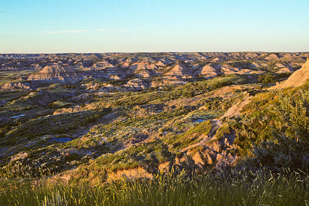 The Badlands at Sunset Theodore Roosevelt National Park lies where the Great Plains meet the rugged Badlands near Medora, North Dakota, USA. The park's 3 units, linked by the Little Missouri River is a habitat for bison, elk and prairie dogs. The park's namesake, President Teddy Roosevelt once lived in the Maltese Cross Cabin which is now part of the park. This picture of the badlands at sunset was taken from the Painted Canyon Overlook. jeff goulden national park stock pictures, royalty-free photos & images