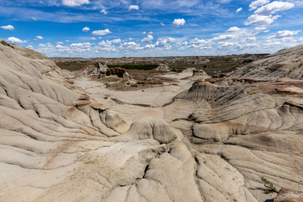 The Badlands of Alberta in Canada The Badlands of Alberta in Canada fossil site stock pictures, royalty-free photos & images