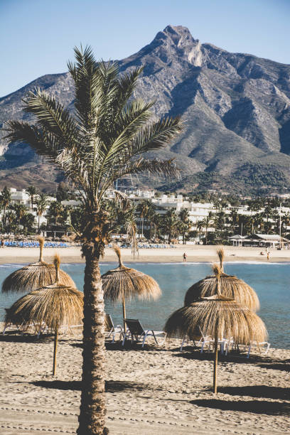 The beach and mountain view in Puerto Banus, Marbella, Andalusia, Spain The view of the mediterranean coast , the beach, La Concha mountain, exotic plants. Marbella, Andalusia, Spain marbella stock pictures, royalty-free photos & images