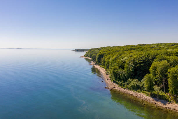 The Beach Forest A birds eye view of Fløjstrup Forest with Aarhus Harbour seen in the background, Denmark. jutland stock pictures, royalty-free photos & images