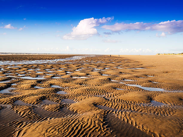 The beach in Formby, Merseyside, United Kingdom The beach in Formby, Merseyside, United Kingdom merseyside stock pictures, royalty-free photos & images