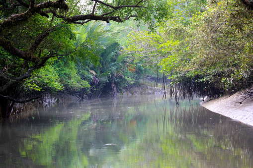 Sundarban Tourism