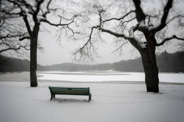 The Bench looking out over the frozen lake stock photo