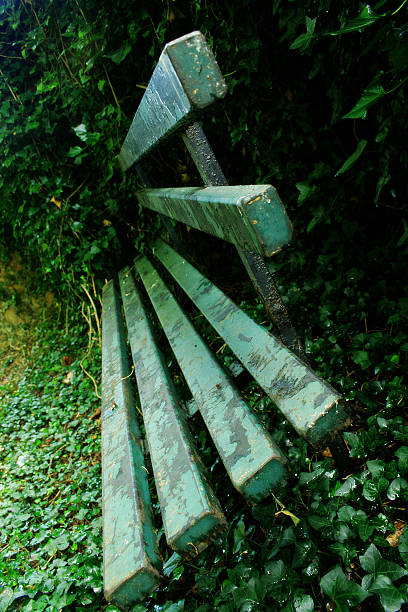 The Bench stock photo