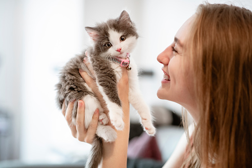 Woman holding up a kitten and smiling while it looks at the camera.