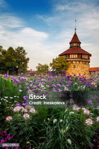istock The Big Tower behind the flowers. 505231003