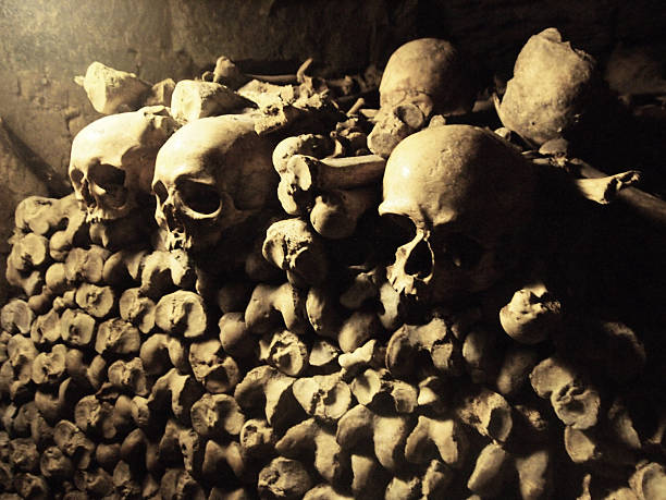The Black Plague in Paris Skulls and other parts in the French catacombs. bubonic plague photos stock pictures, royalty-free photos & images
