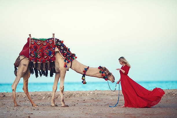 the bond between animals and people side view of young woman on the beach posing near camel, arabian culture, photo taken at the edge of the sea side. hot egyptian women stock pictures, royalty-free photos & images