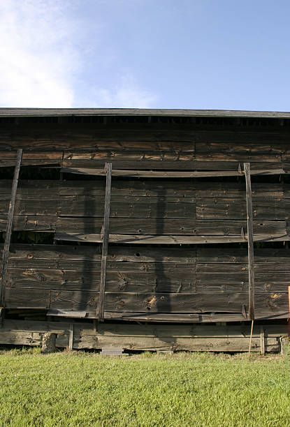 the broad side of a barn - tobacco barn in ma - hatfield bildbanksfoton och bilder
