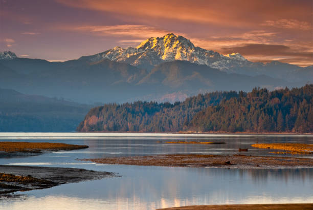 The Brothers from Hood Canal The Brothers, at 6842' above sea level, are a pair of prominent peaks in the Olympic Mountains of Washington State. This picture was taken at sunset from Annas Bay near the town of Union on Hood Canal. jeff goulden landscape stock pictures, royalty-free photos & images