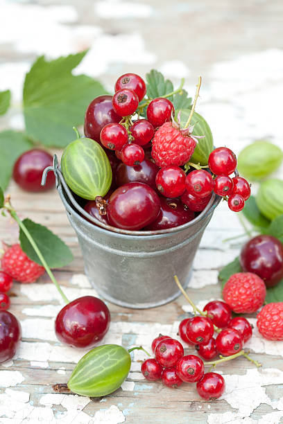 The bucket full of different berries stock photo