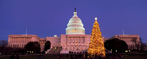 The Capitol Christmas Tree stock photo