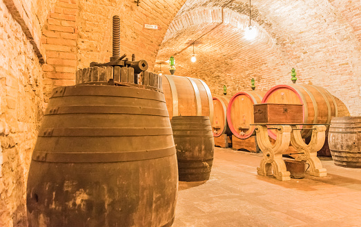 the cellar of Montepulciano