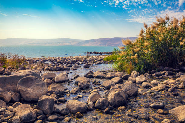 побережье галилейского моря возле водопада эйн-эйов в табге, израиль - израиль стоковые фото и изображения