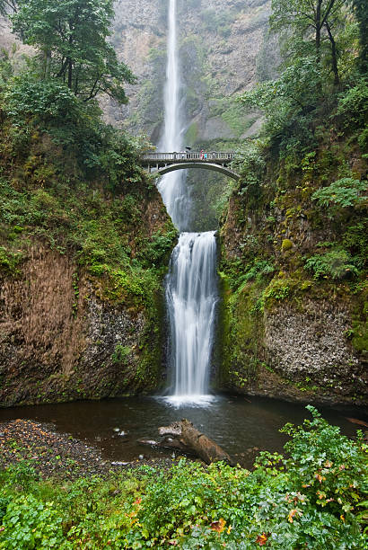 Multnomah Falls The Columbia Gorge between Washington State and Oregon is known for its many waterfalls on both sides of the river. The most famous of the waterfalls is Multnomah Falls, located along the Historic Columbia River Highway in Oregon between the towns of Corbett and Dodson. This photograph was taken on a typical rainy day in the gorge as evidenced by the tiny figures on the bridge standing under an umbrella. jeff goulden waterfall stock pictures, royalty-free photos & images