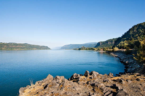 The Mighty Columbia River The Columbia Gorge is a canyon of the Columbia River which forms the border between the states of Oregon and Washington. The canyon is up to 4,000 feet deep in places and stretches for over 80 miles as the river winds westward through the Cascade Range. This scene of the Columbia River was taken from Rooster Rock State Park near Corbett, Oregon, USA. jeff goulden columbia gorge stock pictures, royalty-free photos & images