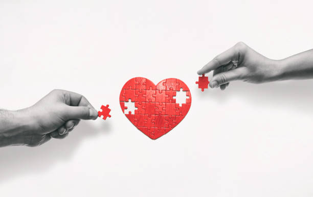The concept of building love relationships. Two people put together a heart-shaped puzzle. The concept of building love relationships. blood donation stock pictures, royalty-free photos & images