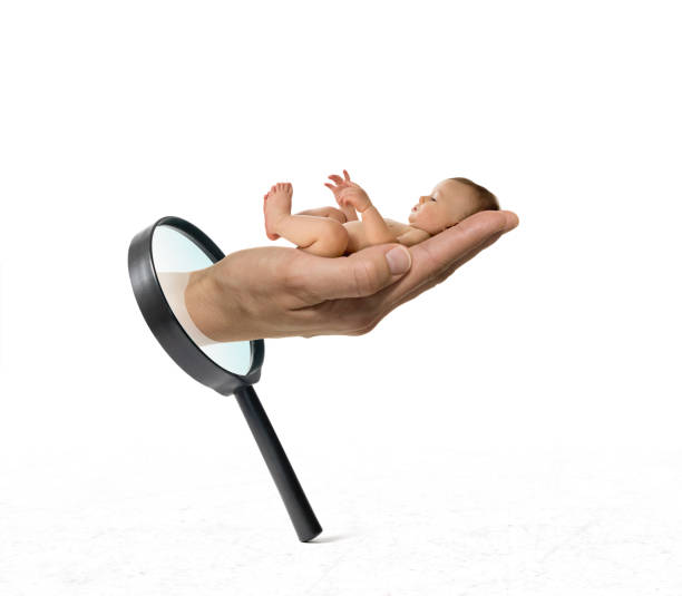 el concepto de encontrar un pediatra, tratamiento de infertilidad, adopción. - abortion clinic fotografías e imágenes de stock