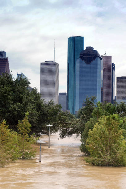 The consequences of the spill Buffalo Bayou River in Houston. Flooded park on Downtown city background. Hurricane Harvey stock photo