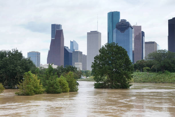 The consequences of the spill Buffalo Bayou River in Houston. Flooded park on Downtown city background. Hurricane Harvey stock photo