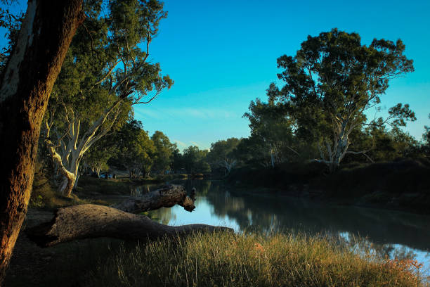 The Cooper Creek at Innaminka in outback Australia stock photo