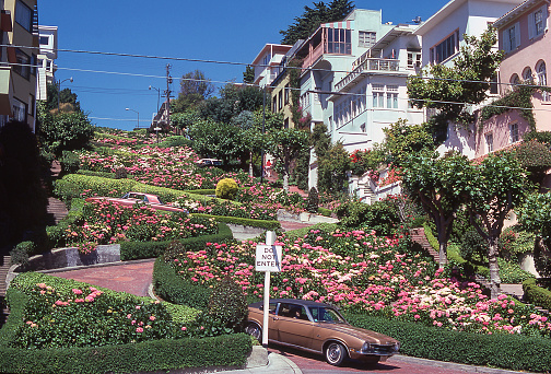The Crookedest Street in the World, Lombard Street, San Francisco, California, USA on a spring day amongst rose beds. Scanned film, June 1974.