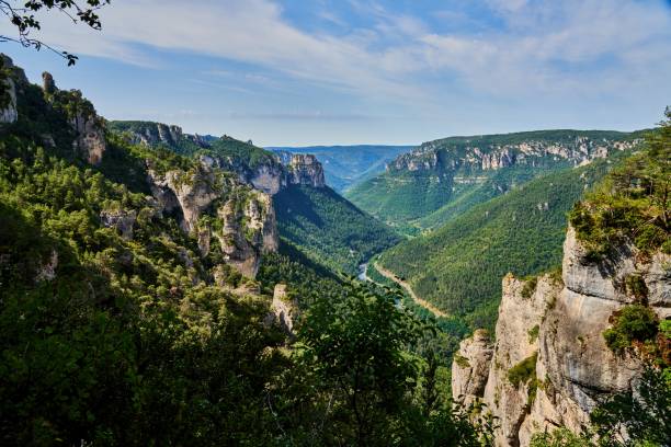the deep forested valley of the Gorges Du Tarn Cevennes National Park gorges du tarn stock pictures, royalty-free photos & images