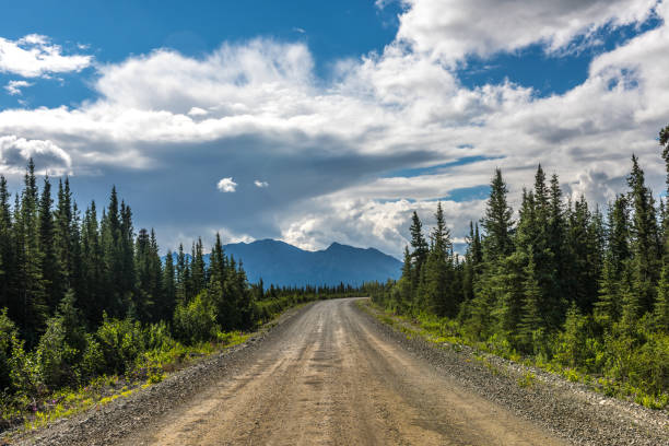 The Denali Highway Cuts Through A Spruce Forest in Alaska stock photo