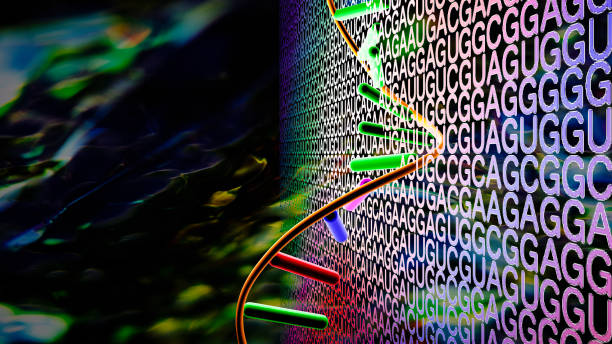 The DNA helix is unraveling over the nucleotide code. stock photo
