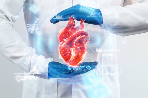 The doctor looks at the Heart hologram, checks the test result on the virtual interface, and analyzes the data. Heart disease, myocardial infarction, innovative technologies, medicine of the future. stock photo