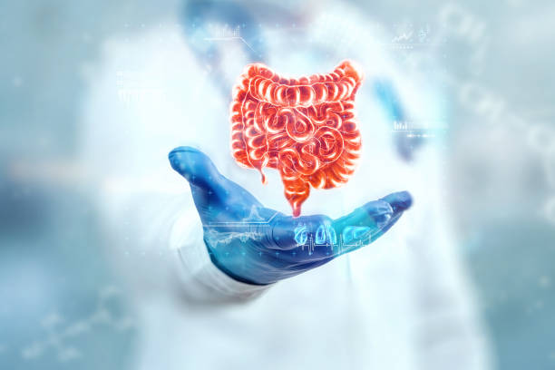The doctor looks at the hologram of the intestine, checks the test result on the virtual interface and analyzes the data. Ulcer, surgery, innovative technologies, medicine of the future. stock photo