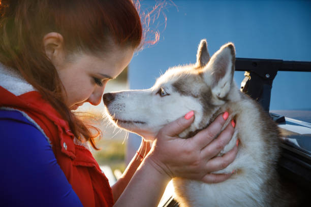 the-dog-breeder-is-hugging-with-her-husky-dogs-picture-id1352648995?k=20&m=1352648995&s=612x612&w=0&h=RUO9vFnXw2NbbXHAq7DDwu24_rDER5R0YSX-EuVtfw4=