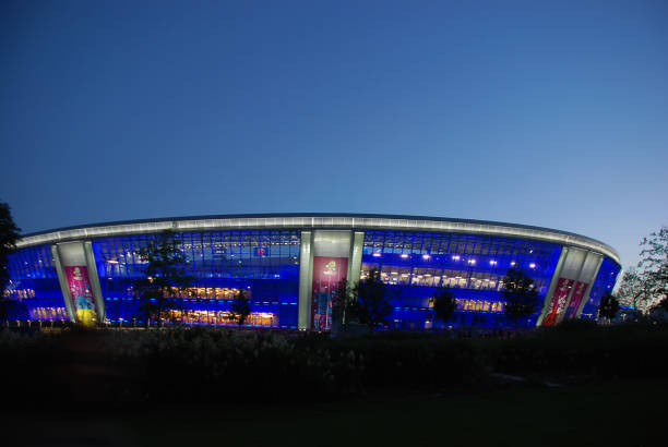 The Donbass Arena in Donetsk, Ukraine The Donbass Arena in Donetsk, Ukraine UEFAチャンピオンズリーグ stock pictures, royalty-free photos & images