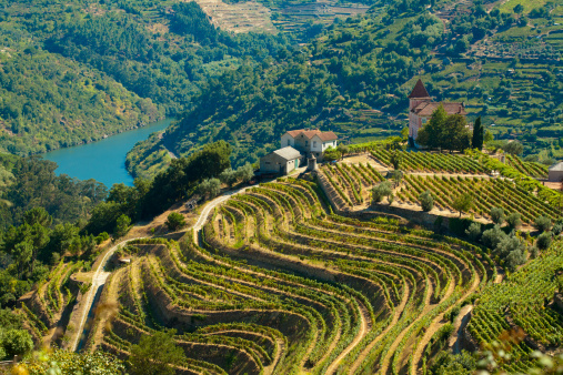 The Douro, Portugal - August 15, 2011: Image captured from the road some kilometers to the west of Oporto, the image shows the Douro river and his vinyards.