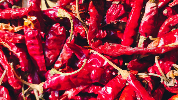 The dried red chilli pepper stock photo