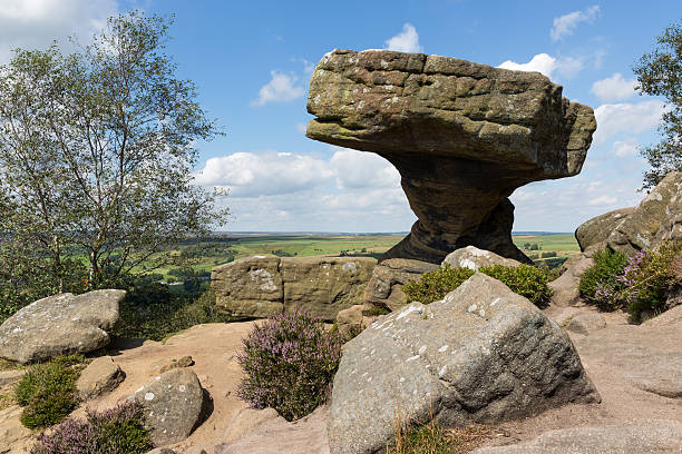 The Druid's Writing Table, Brimham Rocks near Harrogate Brimham Rocks are balancing rock formations on Brimham Moor in North Yorkshire, England. The rocks stand at a height of nearly 30 feet in an area owned by the National Trust which is part of the Nidderdale Area of Outstanding Natural Beauty. brimham rocks stock pictures, royalty-free photos & images