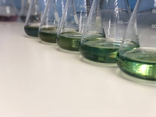 The Erlenmeyer flask of conical flask with green solution The Erlenmeyer flask with green solution on bench laboratory from forming reaction between boric acid and ammonia solution analysis concentration in wastewater sample. ammonia stock pictures, royalty-free photos & images