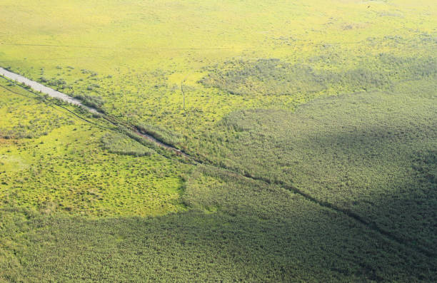 The expanse of savanna in Bromo Tengger Semeru National Park stock photo